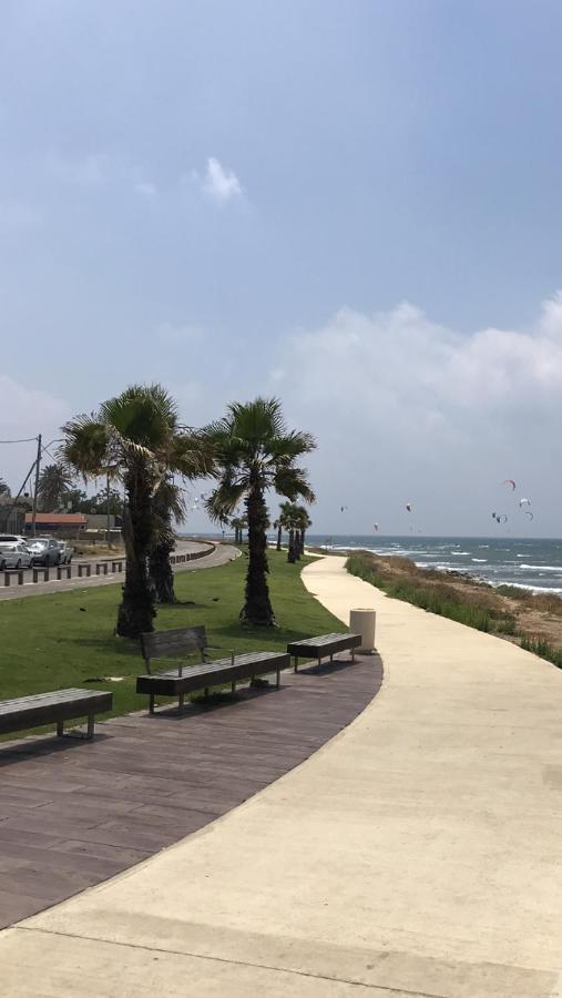 Private Garden House Villa Haifa Ngoại thất bức ảnh